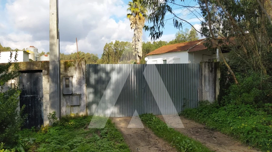 Quinta para Venda em Regueira de Pontes Foto 5