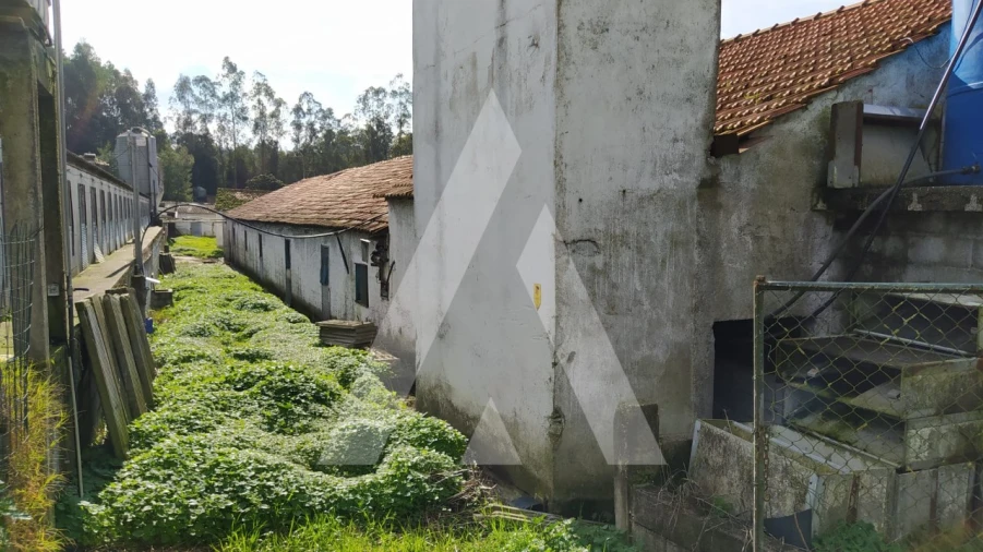 Quinta para Venda em Regueira de Pontes Foto 6