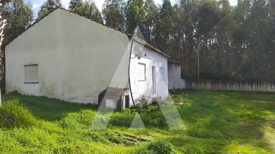 Quinta para Venda em Regueira de Pontes Foto 7