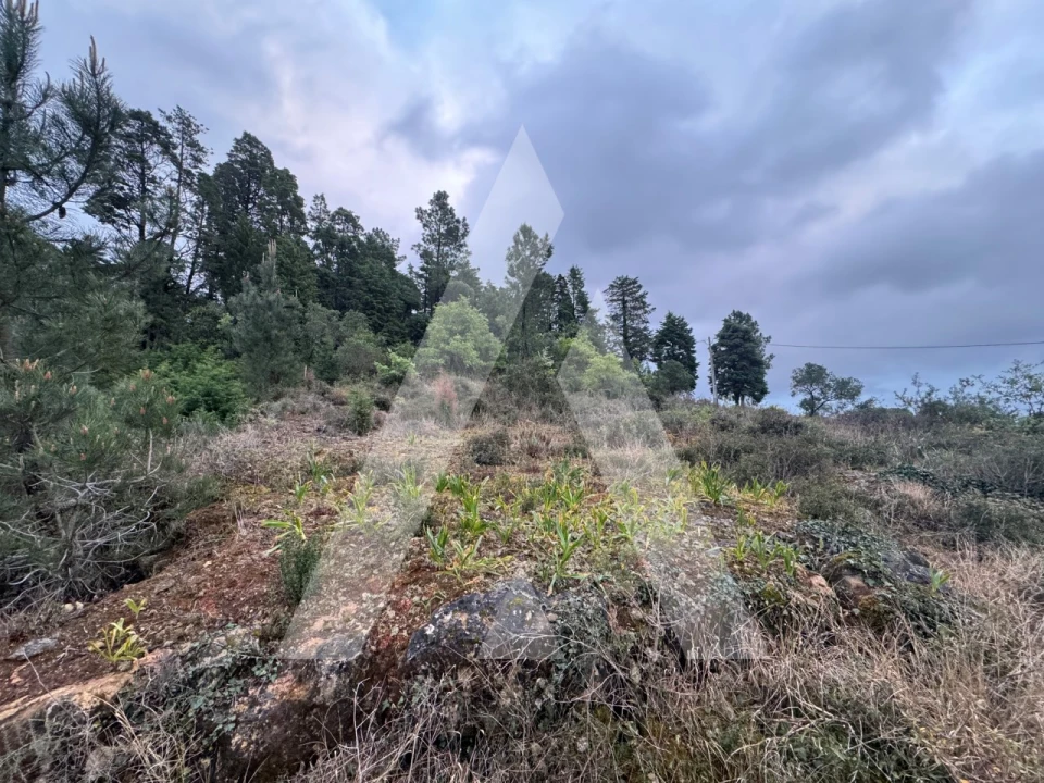 Terreno para Venda em Assafarge e Antanhol Foto 7