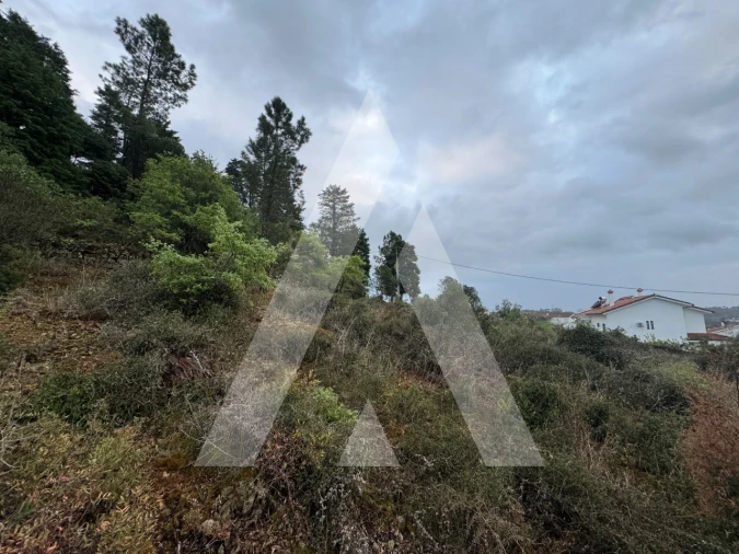 Terreno para Venda em Assafarge e Antanhol Foto 8