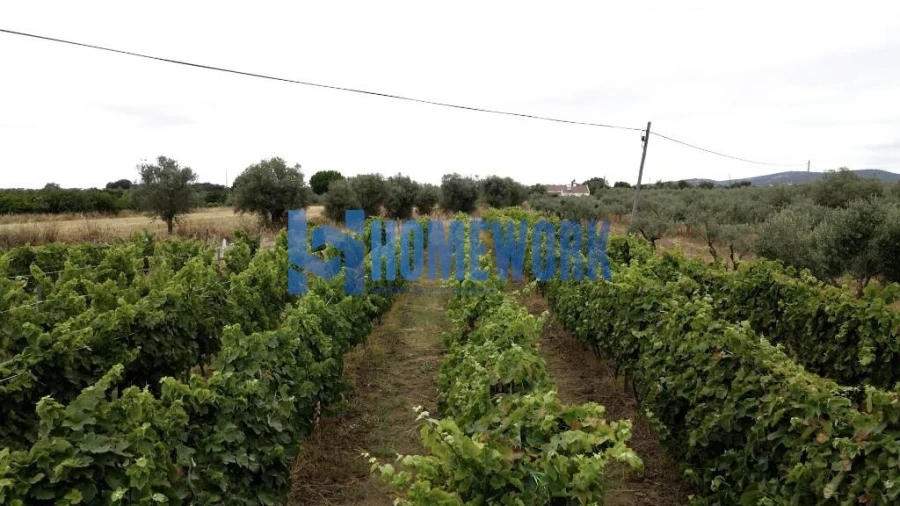 Terreno para Venda em Vila Nova da Baronia Foto 8
