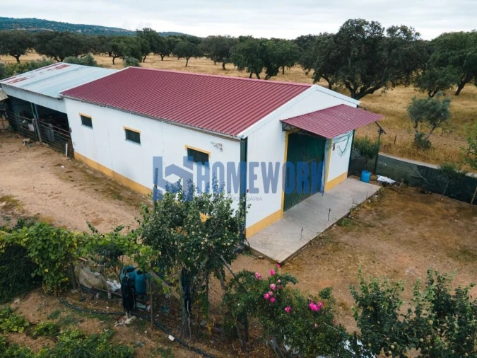 Terreno para Venda em Vila Nova da Baronia Foto 2