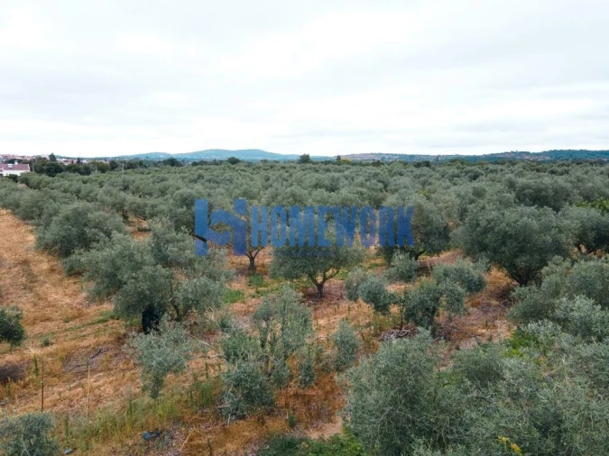 Terreno para Venda em Vila Nova da Baronia Foto 7