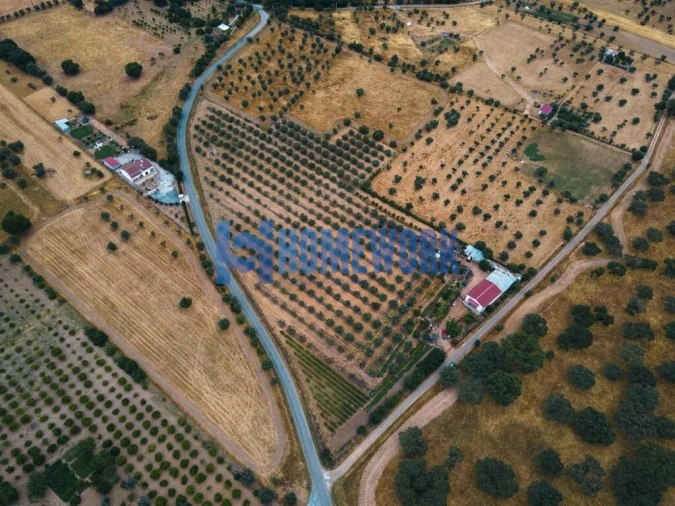 Terreno para Venda em Vila Nova da Baronia Foto 5