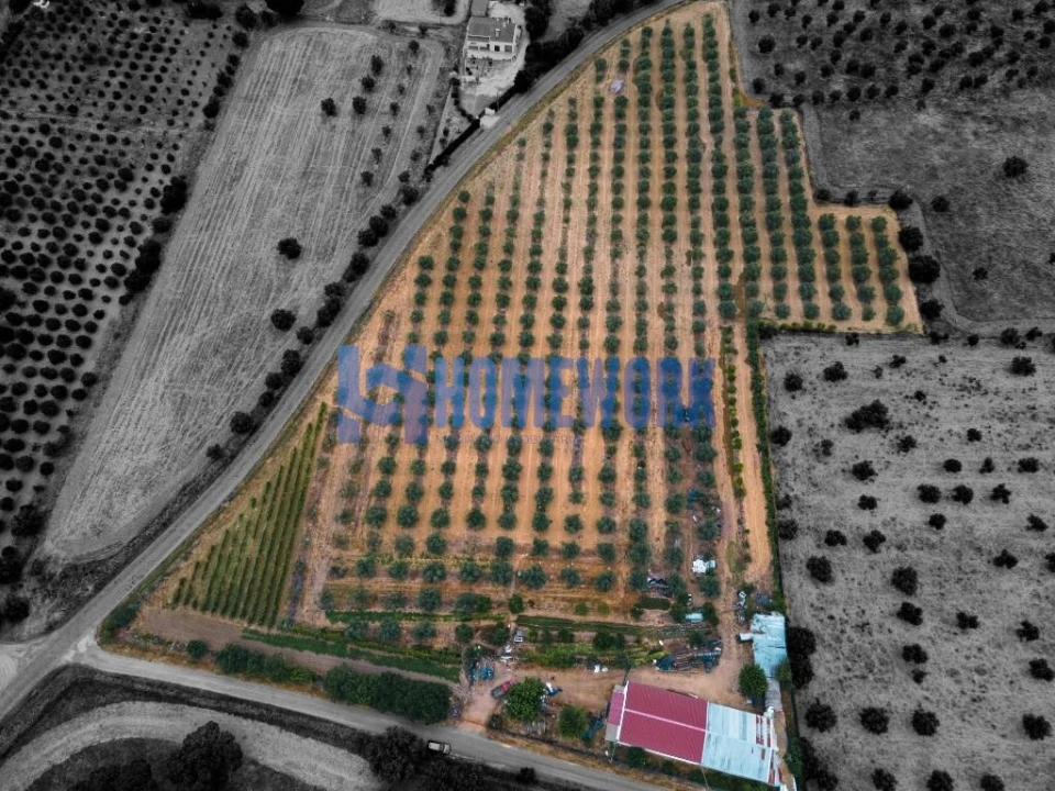 Terreno para Venda em Vila Nova da Baronia Foto 3