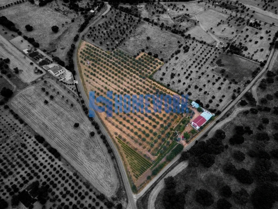 Terreno para Venda em Vila Nova da Baronia Foto 4