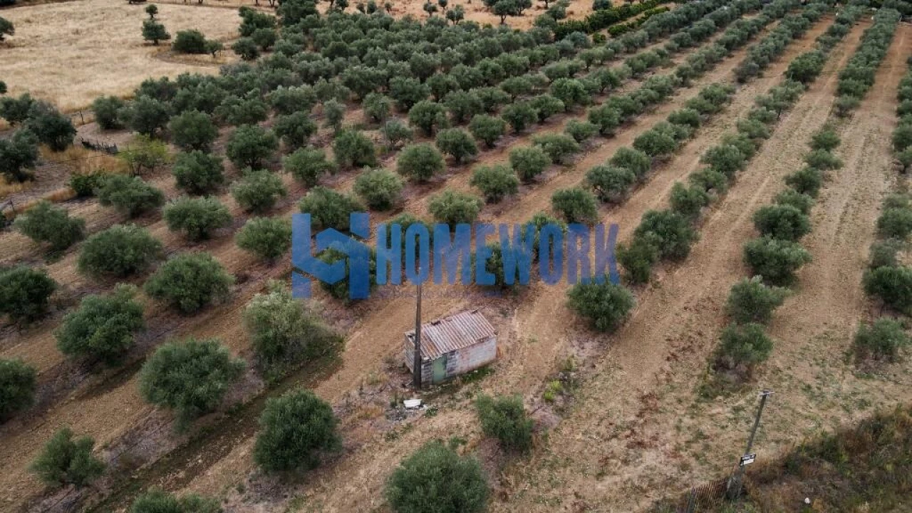 Terreno para Venda em Vila Nova da Baronia Foto 10