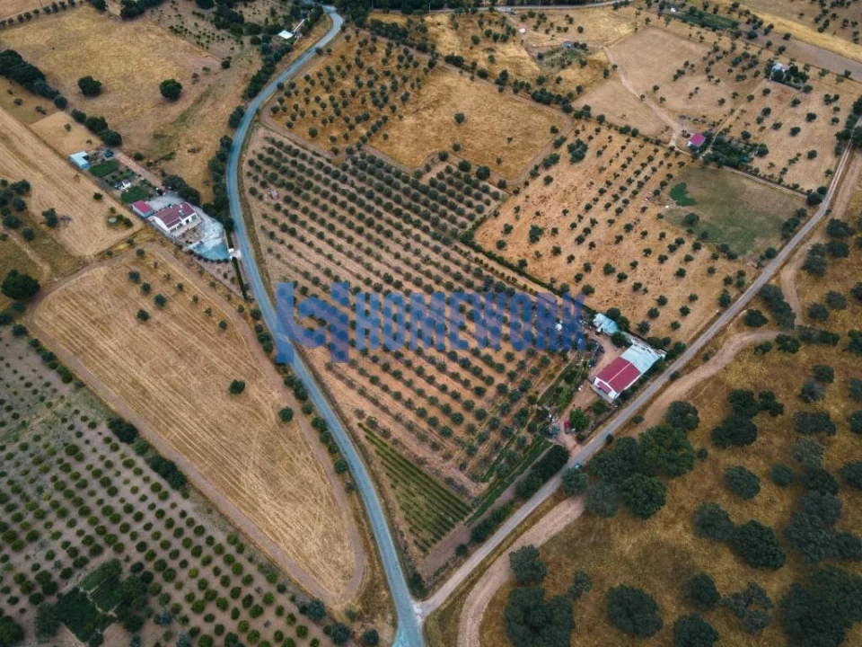Terreno para Venda em Vila Nova da Baronia Foto 5