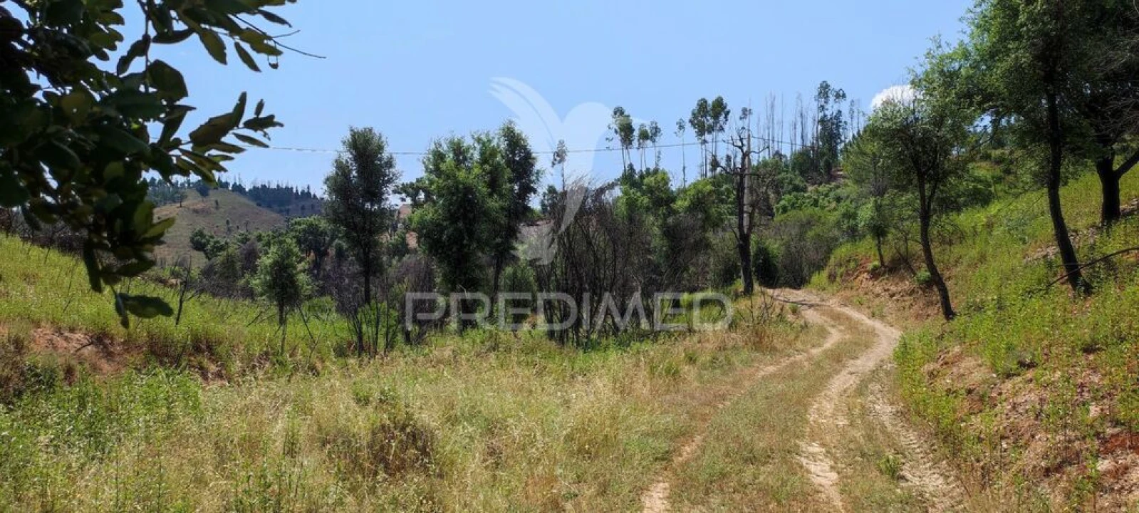 Quinta T6 para Venda em Saboia Foto 19