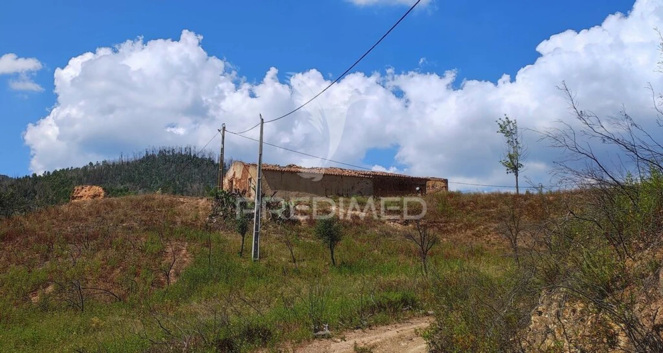 Quinta T6 para Venda em Saboia Foto 3