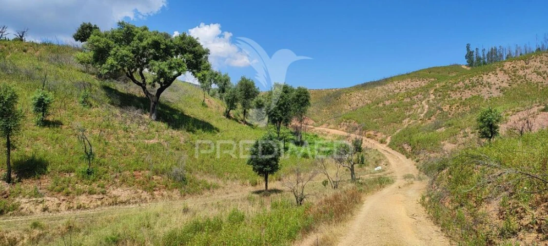 Quinta T6 para Venda em Saboia Foto 16