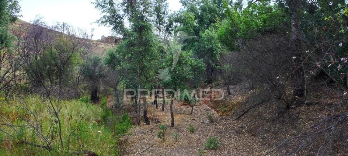 Quinta T6 para Venda em Saboia Foto 20