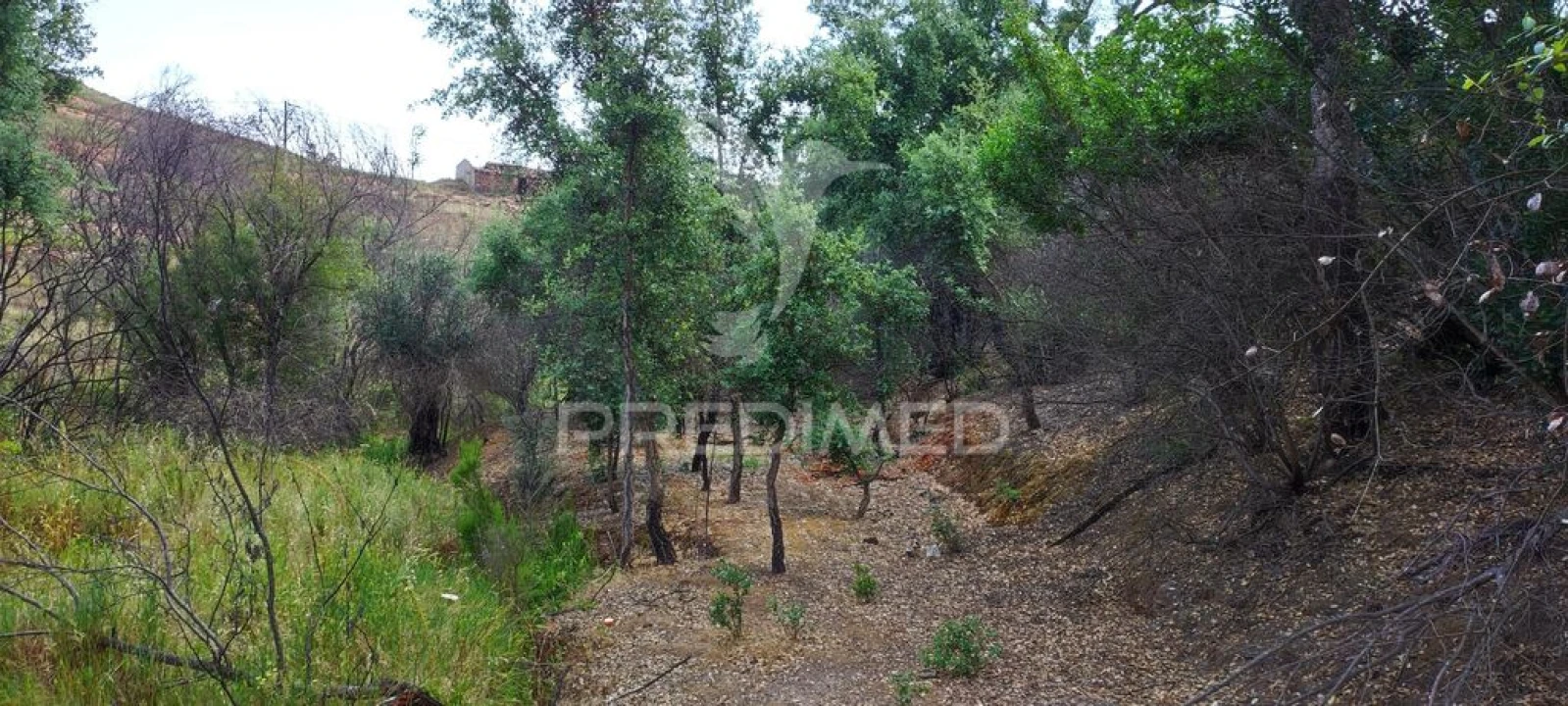 Quinta T6 para Venda em Saboia Foto 20