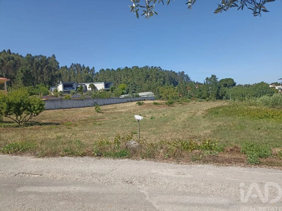 Terreno para Venda em Maceira Foto 13