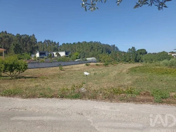 Terreno para Venda em Maceira