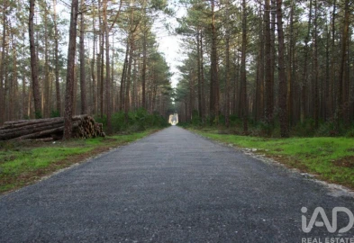 Terreno para Venda em Maceira