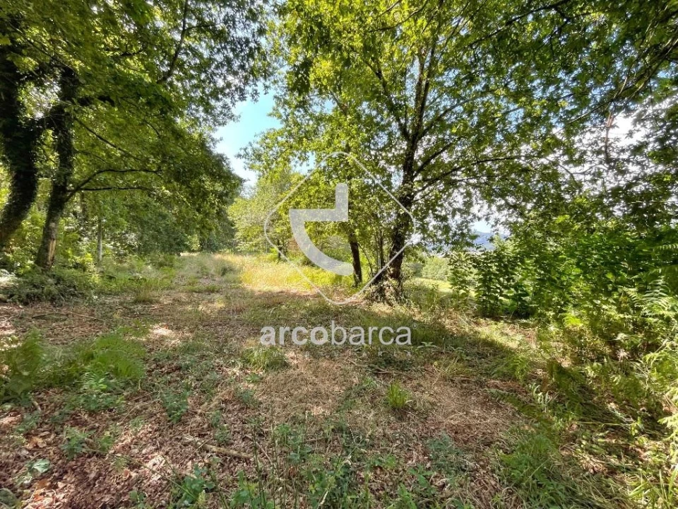 Terreno para Venda em Gondoriz Foto 4