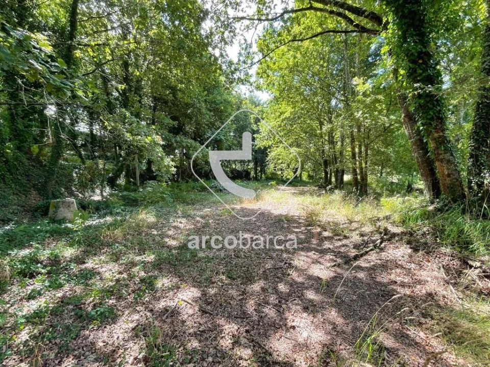 Terreno para Venda em Gondoriz Foto 8