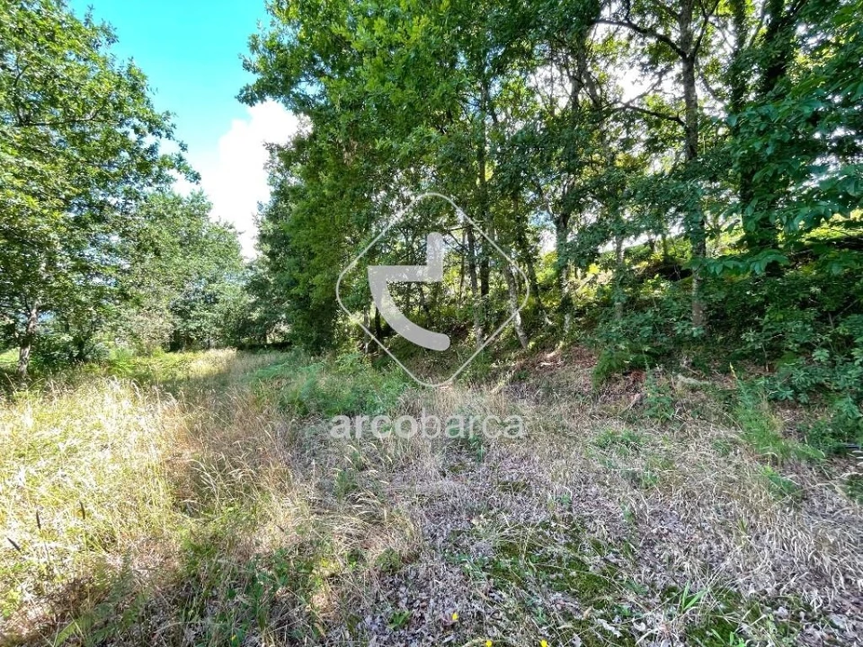Terreno para Venda em Gondoriz Foto 7