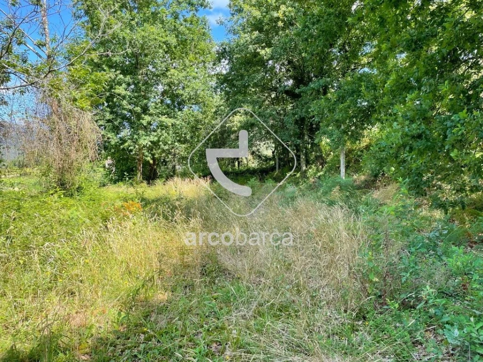 Terreno para Venda em Gondoriz Foto 5