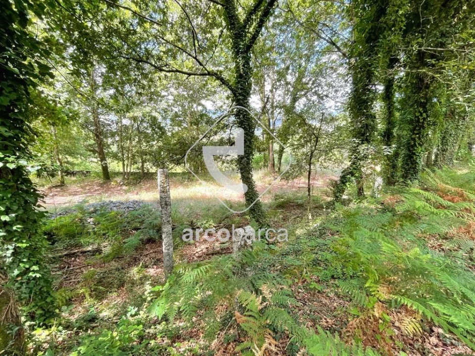 Terreno para Venda em Gondoriz Foto 18