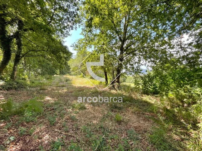 Terreno para Venda em Gondoriz Foto 4