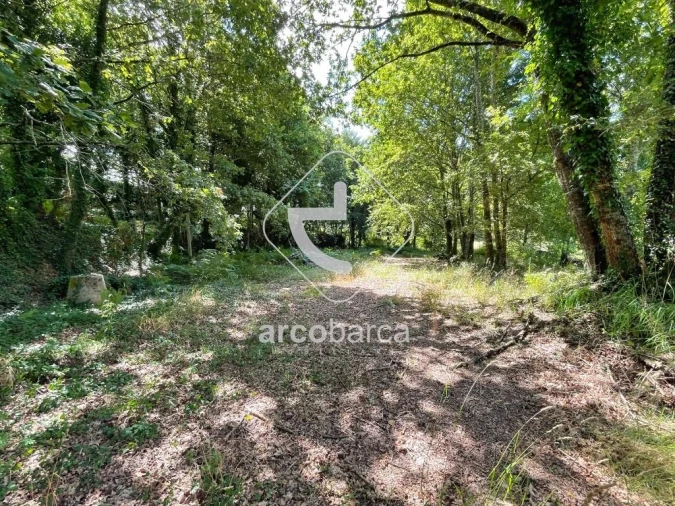 Terreno para Venda em Gondoriz Foto 8