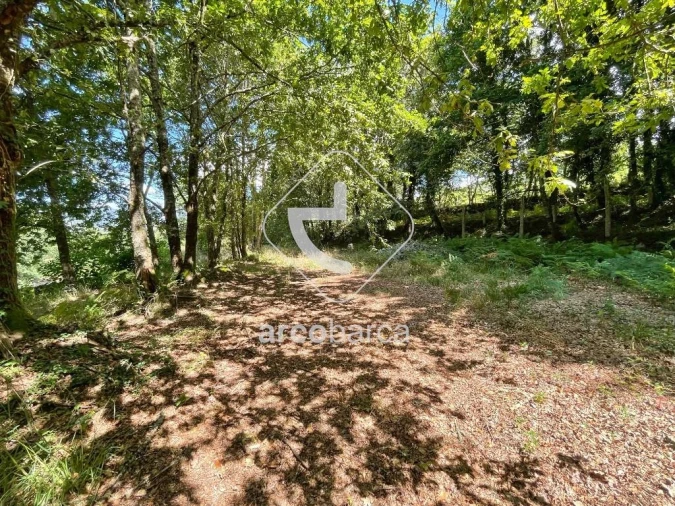 Terreno para Venda em Gondoriz Foto 10