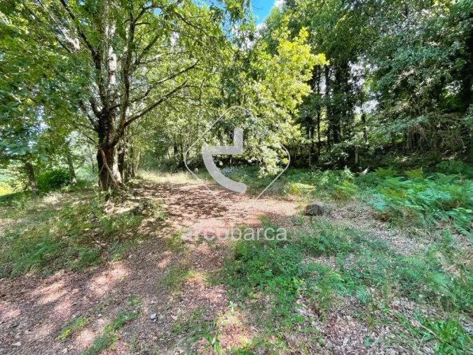 Terreno para Venda em Gondoriz Foto 9