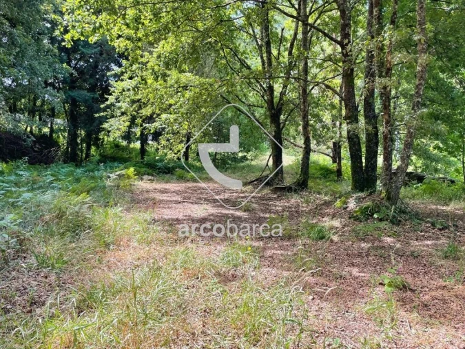 Terreno para Venda em Gondoriz Foto 19