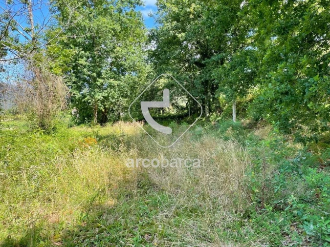 Terreno para Venda em Gondoriz Foto 5