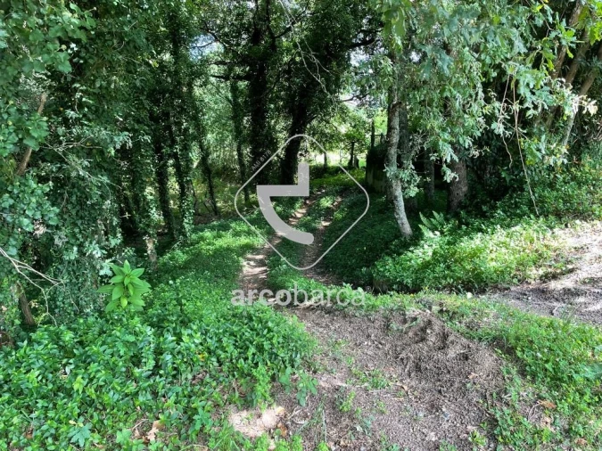 Terreno para Venda em Gondoriz Foto 12