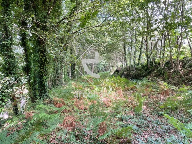 Terreno para Venda em Gondoriz Foto 16