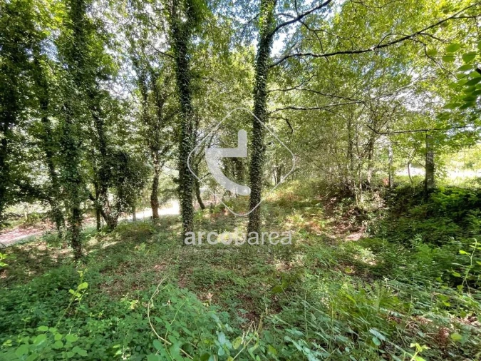 Terreno para Venda em Gondoriz Foto 14