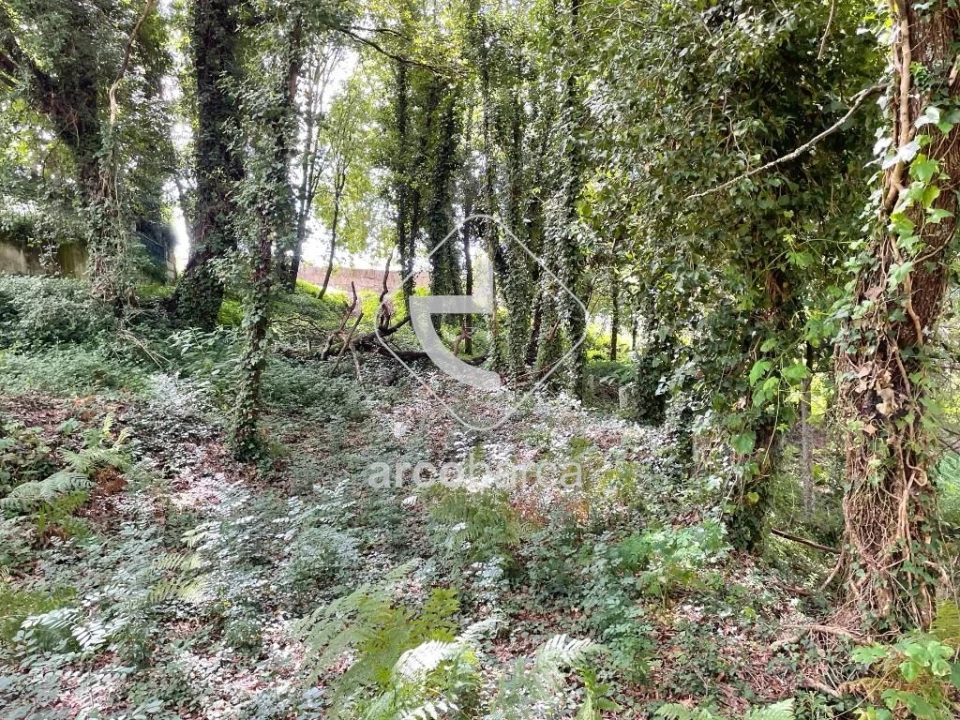 Terreno para Venda em Gondoriz Foto 17