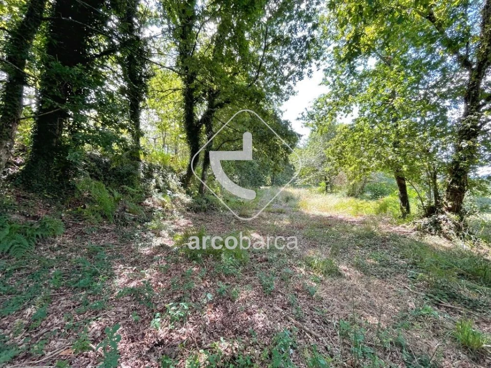 Terreno para Venda em Gondoriz Foto 3