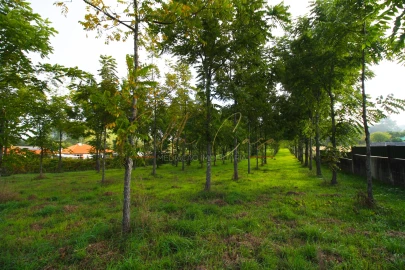 Terreno para Venda em Oliveira do Bairro