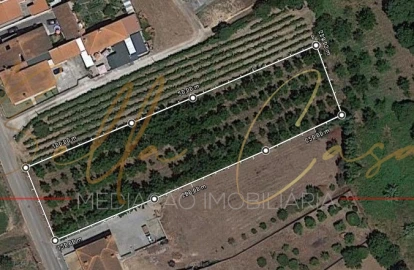 Terreno para Venda em Oliveira do Bairro