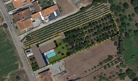 Terreno para Venda em Oliveira do Bairro