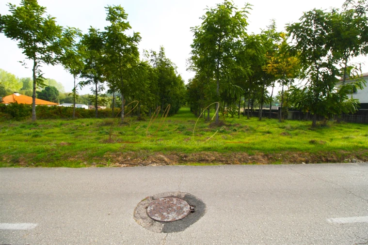 Terreno para Venda em Oliveira do Bairro Foto 3