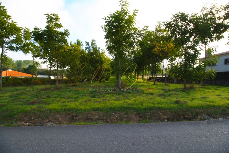 Terreno para Venda em Oliveira do Bairro