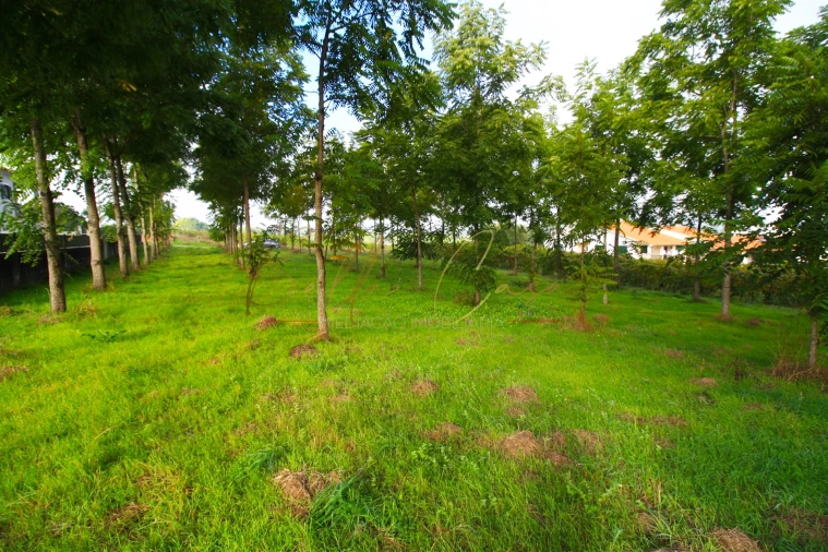 Terreno para Venda em Oliveira do Bairro Foto 8