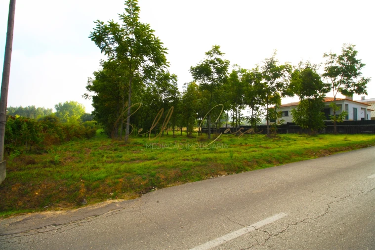 Terreno para Venda em Oliveira do Bairro Foto 2