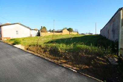 Terreno para Venda em Oliveira do Bairro