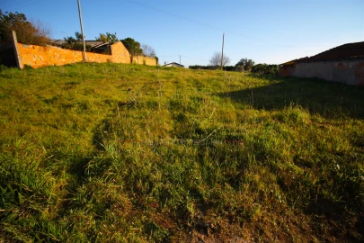 Terreno para Venda em Oliveira do Bairro