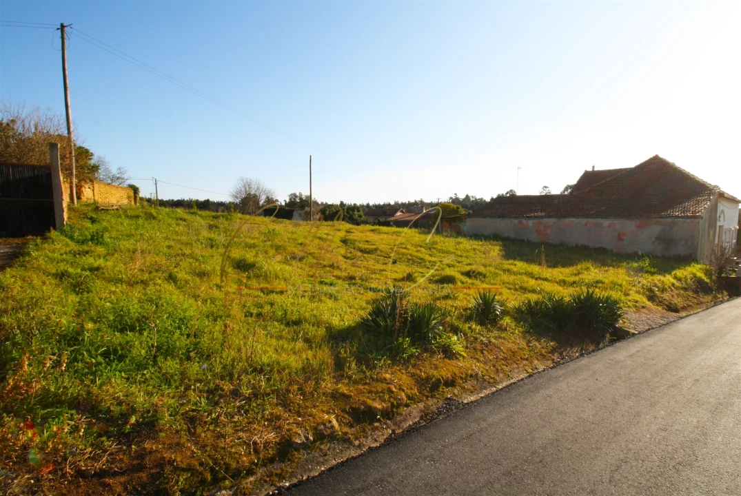 Terreno para Venda em Oliveira do Bairro Foto 2