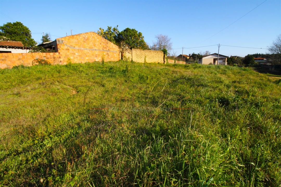 Terreno para Venda em Oliveira do Bairro Foto 3