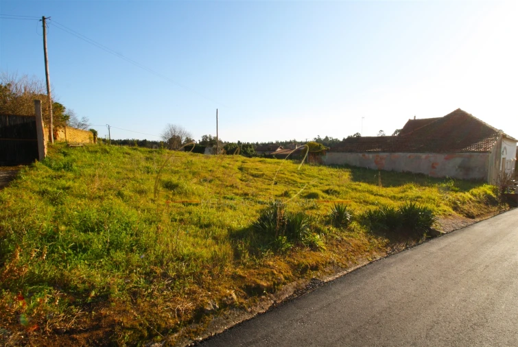 Terreno para Venda em Oliveira do Bairro Foto 2