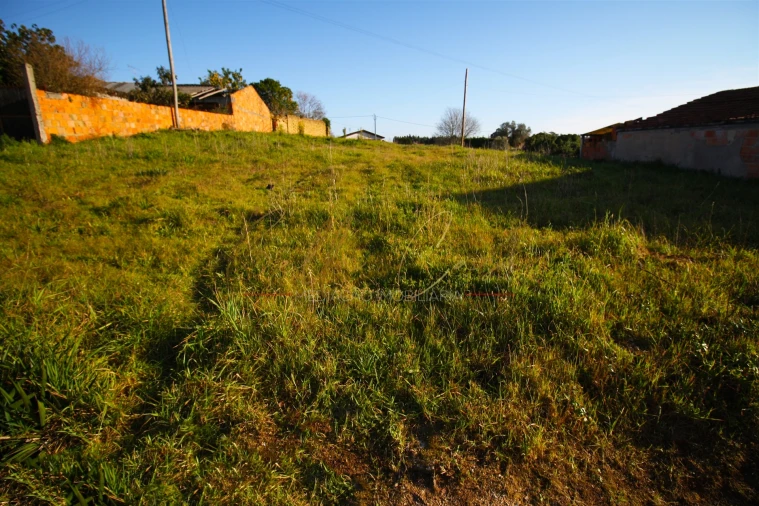 Terreno para Venda em Oliveira do Bairro Foto 5